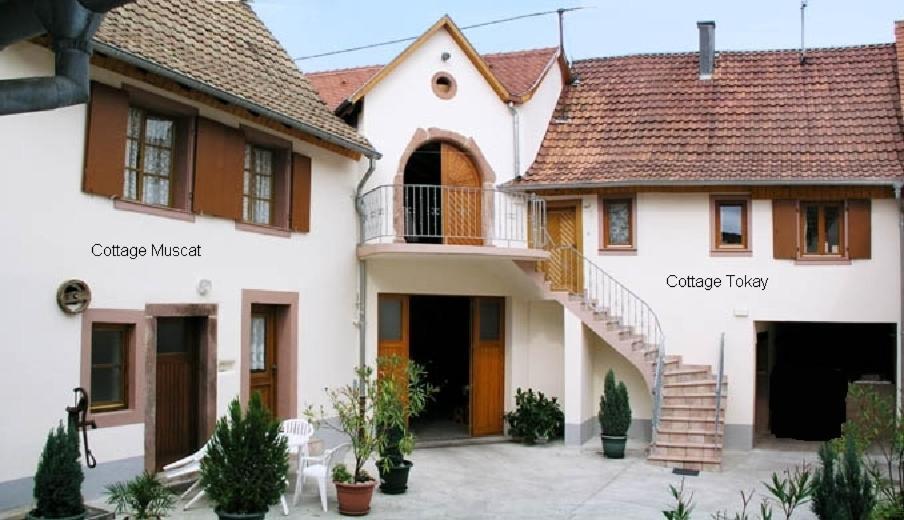 Gites Le Tokay Et Le Muscat Gertwiller Стая снимка