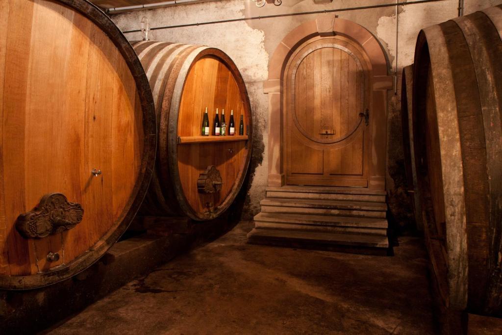 Gites Le Tokay Et Le Muscat Gertwiller Стая снимка